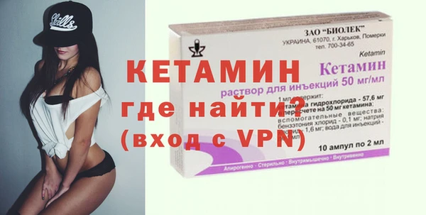 гидра Няндома