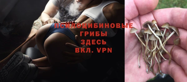 СК Абаза